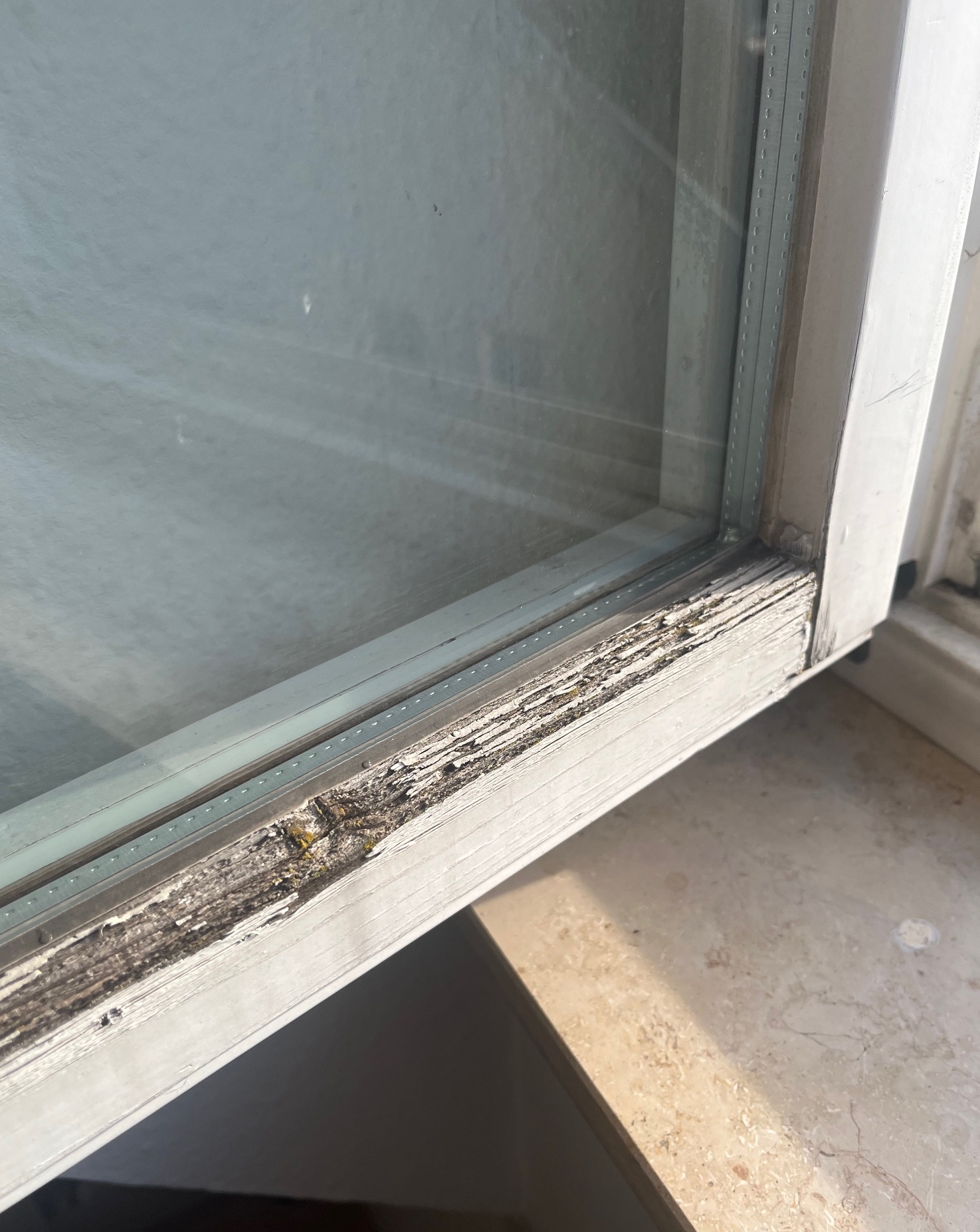 entsorgung fenster baustelle inventursoftware barcode