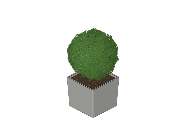 Buchskugel im Kübel, groß als 3D-Modell
