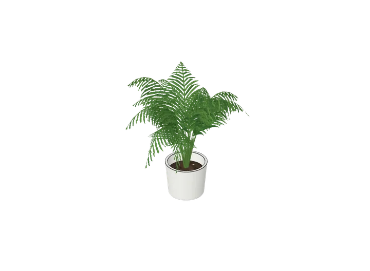Kentia-Palme klein (Schreibtisch) als 3D-Modell