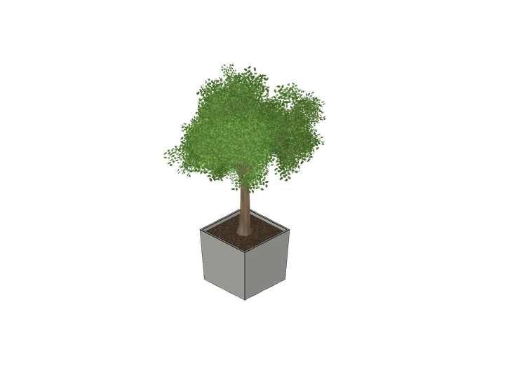 Laubbaum im Kübel, mittel als 3D-Modell
