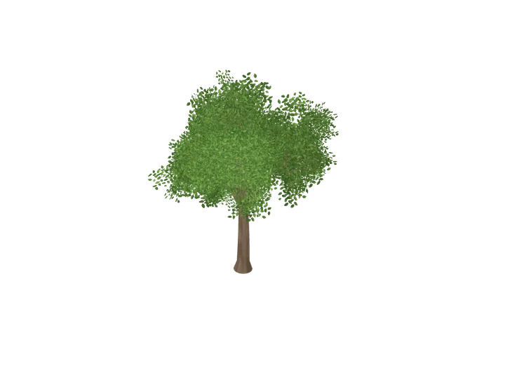 Laubbaum (außen) groß, 5 m als 3D-Modell