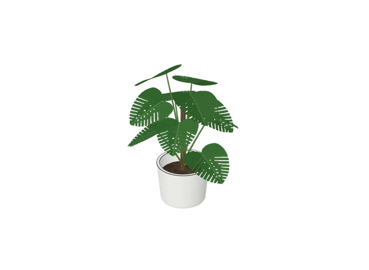 Monstera klein (Schreibtisch) als 3D-Modell