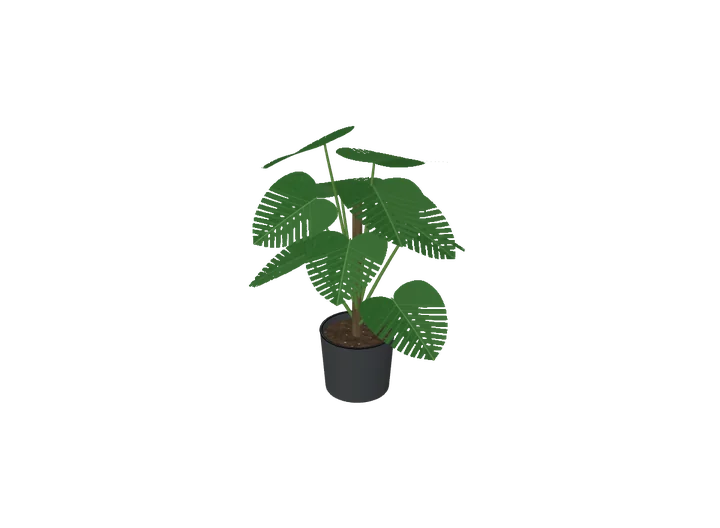 Monstera mit Moosstab, mittel als 3D-Modell