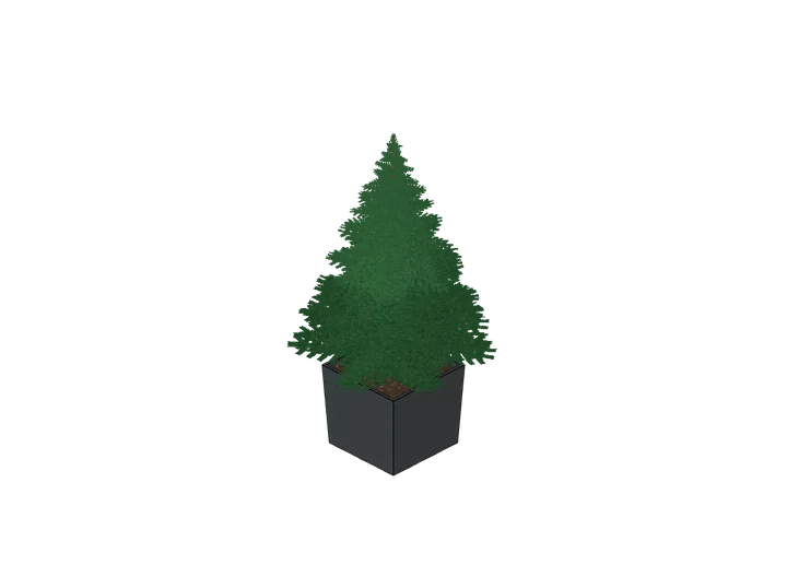 Nadelbaum im Kübel, mittel als 3D-Modell