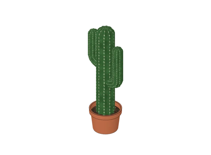 Säulenkaktus mittel als 3D-Modell